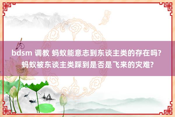 bdsm 调教 蚂蚁能意志到东谈主类的存在吗? 蚂蚁被东谈主类踩到是否是飞来的灾难?