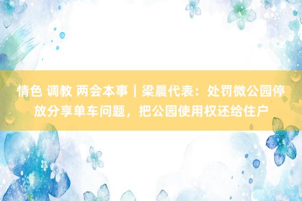 情色 调教 两会本事｜梁晨代表：处罚微公园停放分享单车问题，把公园使用权还给住户