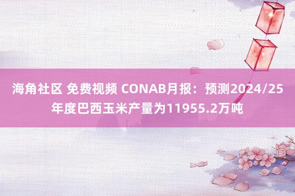 海角社区 免费视频 CONAB月报：预测2024/25年度巴西玉米产量为11955.2万吨