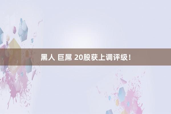 黑人 巨屌 20股获上调评级！